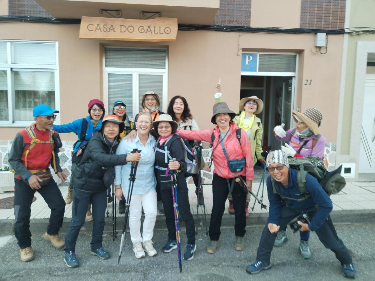 Pension Casa Do Gallo סאריה מראה חיצוני תמונה